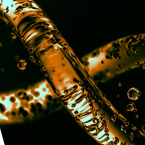 Vitamina B6